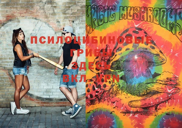 круглые Гусиноозёрск